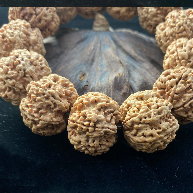 [梵心阁]大金刚菩提手串 26mm孤品 六瓣单圈大尺寸 深度清理 正宗尼泊尔文玩佛珠双龙纹 孤品SS2大金刚六瓣26mm