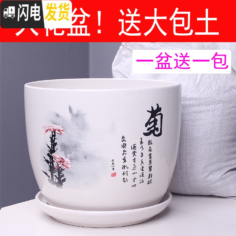 三维工匠特大号花盆陶瓷简约吊兰创意绿萝家用阳台多肉花盆带托盘 303红梅特大号+土 特大花盆容器高清大图