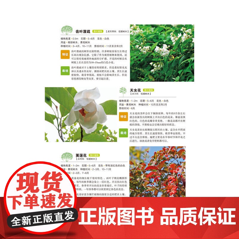 当当 最详尽的庭院种植与景观设计 私家花园设计全书 庭院植物搭配图鉴 阳台菜园造景指南 户外防腐木施工详解 日式枯山水D高清大图