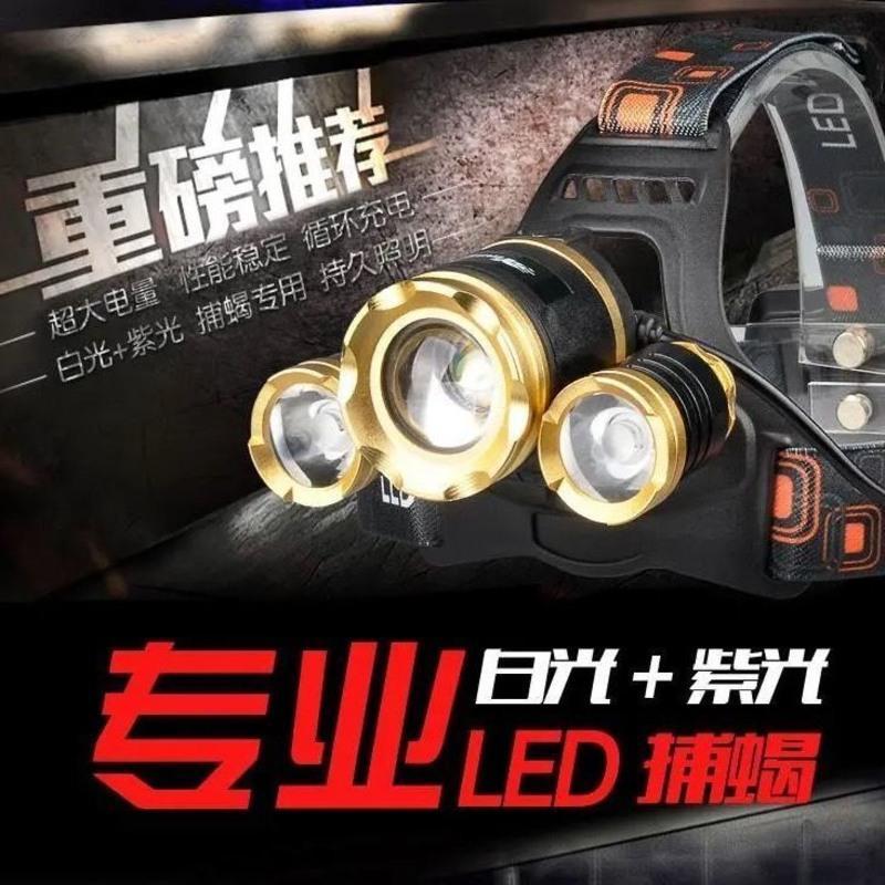 超亮捕蝎子灯紫光头灯强光变焦远射头戴抓捉照逮豆虫大光圈感应L 买捕蝎头灯送2个25CM长镊子 单头变焦不感应蝎子头灯2电