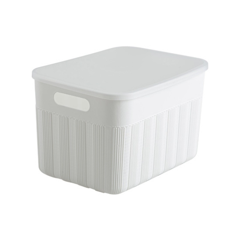 家柏饰(CORATED)手提带盖收纳篮塑料桌面收纳筐 杂物零食篮子置物篮收纳箱 中号白色232831*22*20