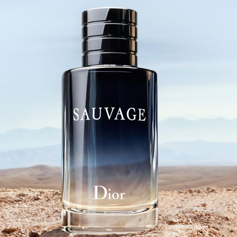 国内专柜版迪奥旷野男士淡香氛100ml经典淡香水清新木香格调男士香水