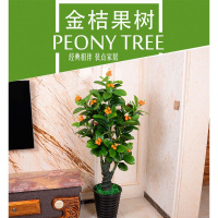 古达 仿真金钱树仿真植物客厅过胶假树叶假绿植盆景盆栽花抖音