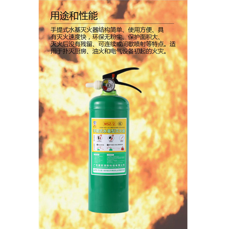 唐安 MSZ/2 手提式灭火器水基 2升 2L 单位:个