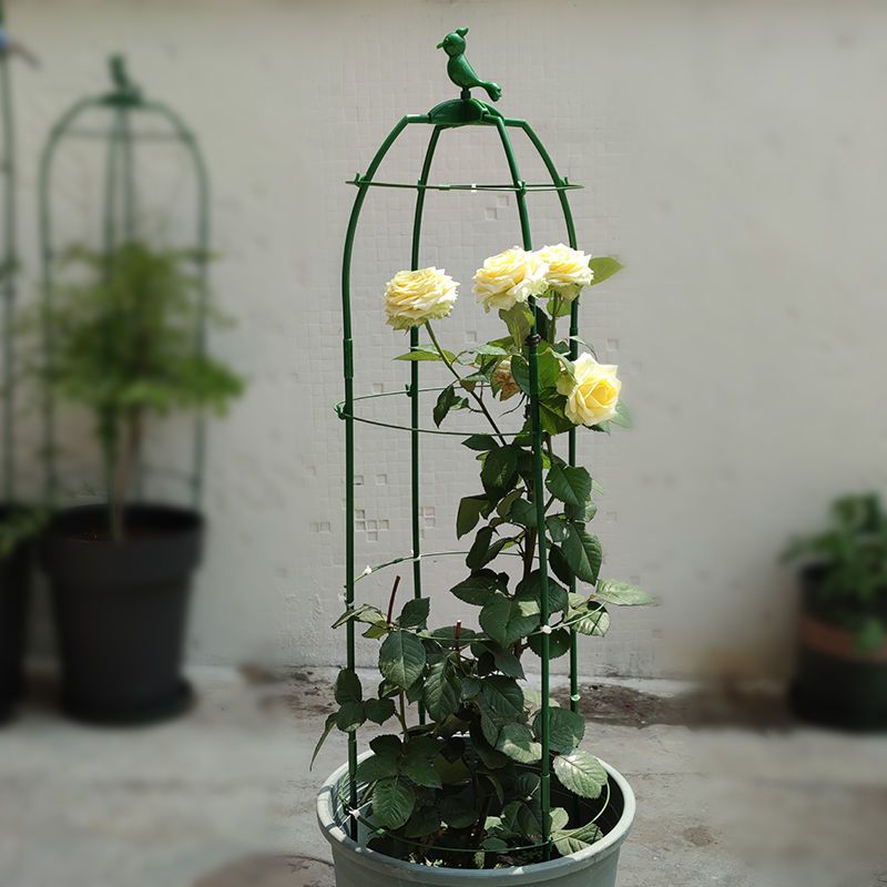 欧式爬藤花支架植物月季铁线莲紫藤支架攀爬花架阳台支撑架园艺