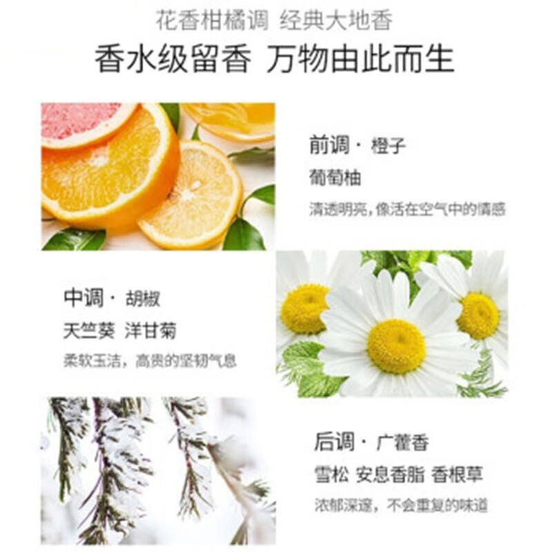 百雀羚三生花精油香氛洗发露(去屑柔顺)500ml SSH-0003高清大图
