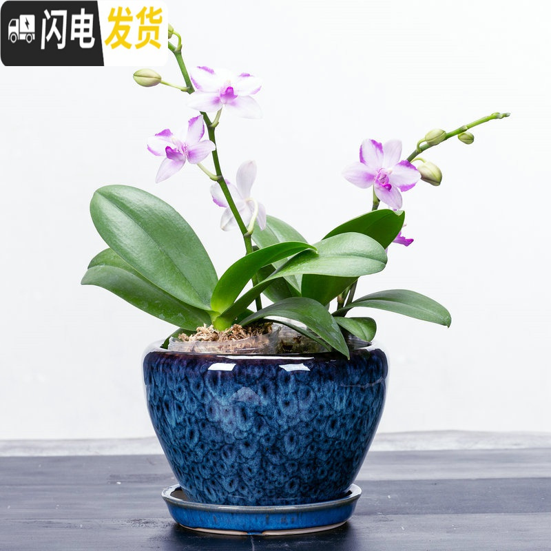 三维工匠花盆陶瓷盆家用大号兰花盆透气花盆吊兰花盆 陶瓷 特大盆栽盆 S-PG黄花釉 外肚径[约19-20cm花盆容器