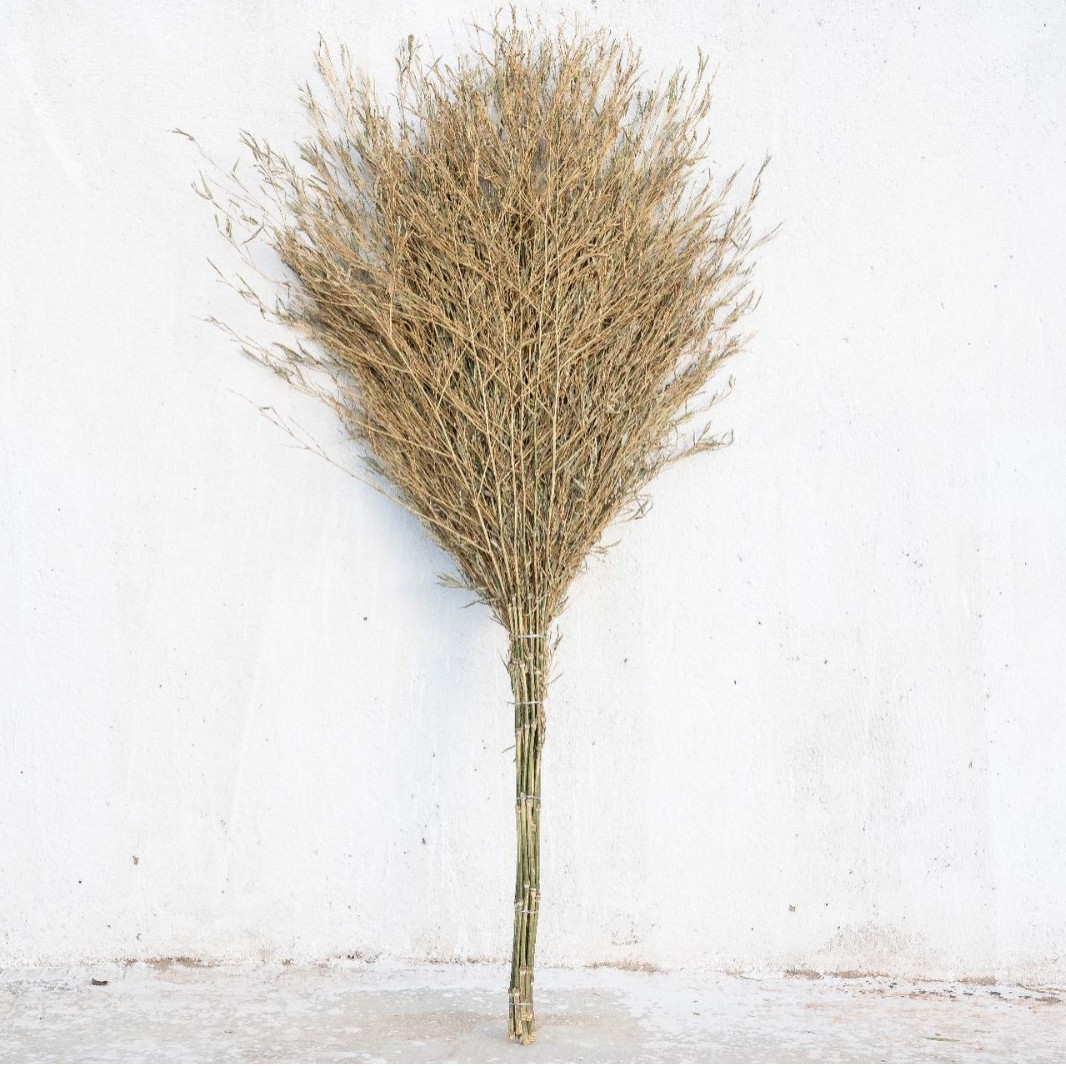 欣欣妍宸 无叶竹扫把大扫把 YC-大号/个高清大图