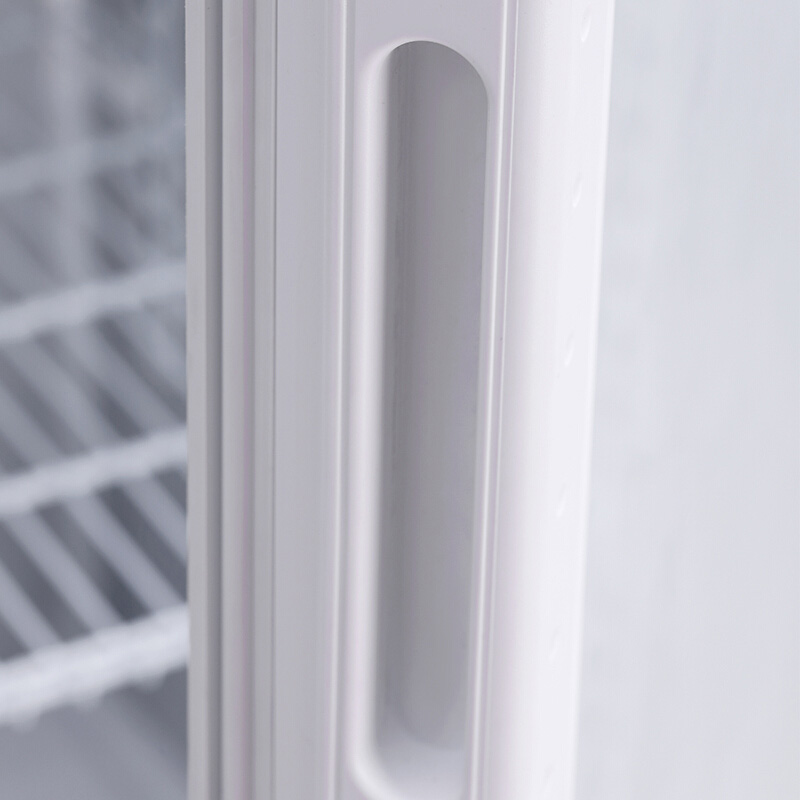 德玛仕(DEMASHI)商用冷藏展示柜 饮料展示柜冷藏冰箱 冰柜保鲜冷柜LG-760BF双门高清大图