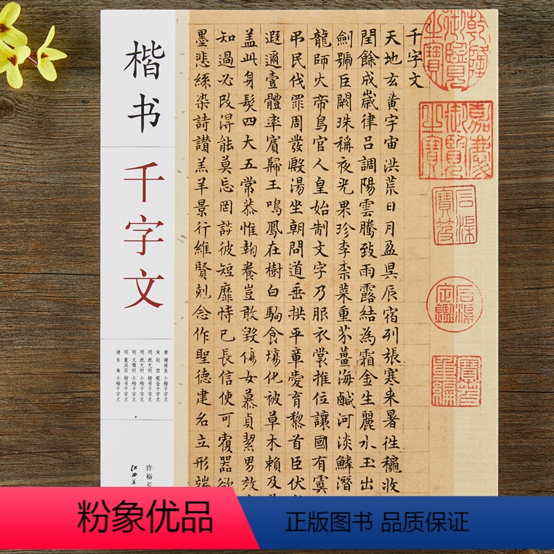 [正版]楷书千字文 褚遂良赵佶祝允明文徵明董其昌朱耷楷书千字文 毛笔书法楷书字帖附简体旁注