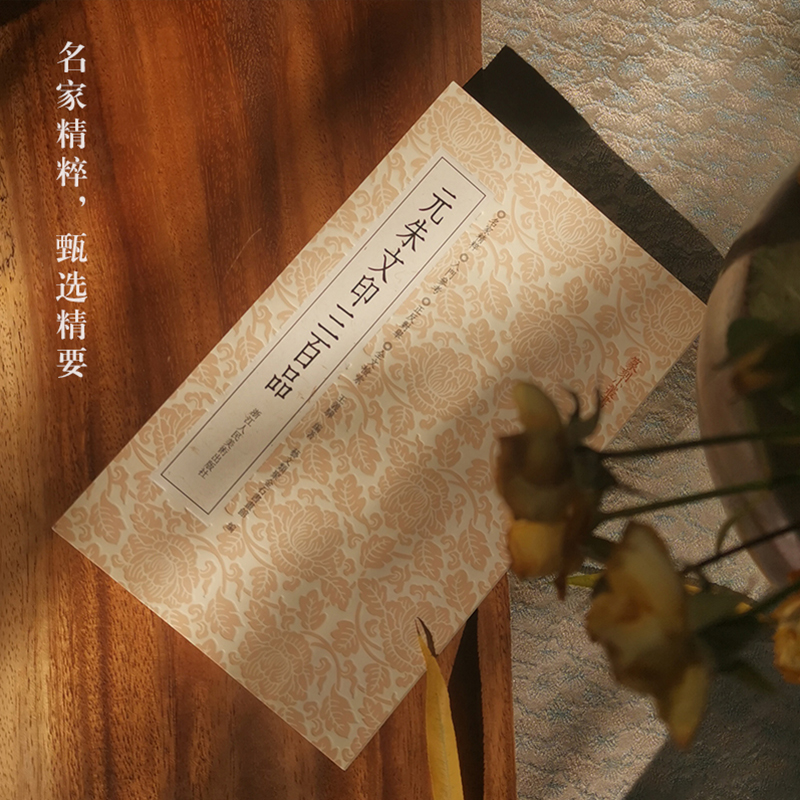 [正版]元朱文印三百品 篆刻理论工具字典书元印理论知识学习入门教程 分韵合编技法解析篆刻印章 篆刻印章临摹鉴赏图书籍高清大图