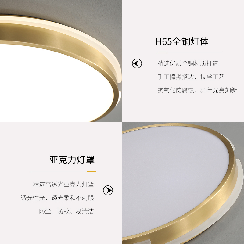 阿丹娜 新款简约现代LED全铜吸顶灯客厅灯温馨卧室灯欧式创意卧室灯时尚北欧风个性灯具05