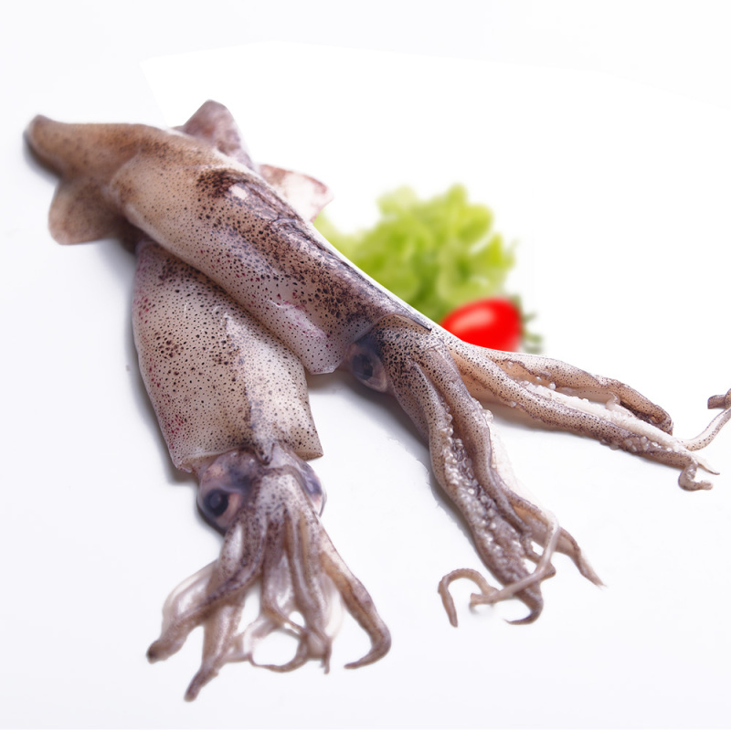 国联(GUOLIAN) 笔管鱿鱼250g