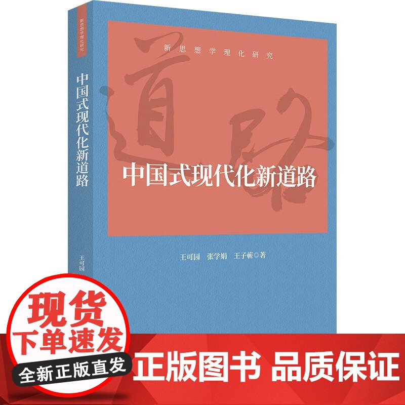 中国式现代化新道路 王可园等 著 政治高清大图
