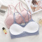 热卖韩版彩棉学生美背交叉裹胸内衣少女吊带性感小蕾丝抹胸文胸女