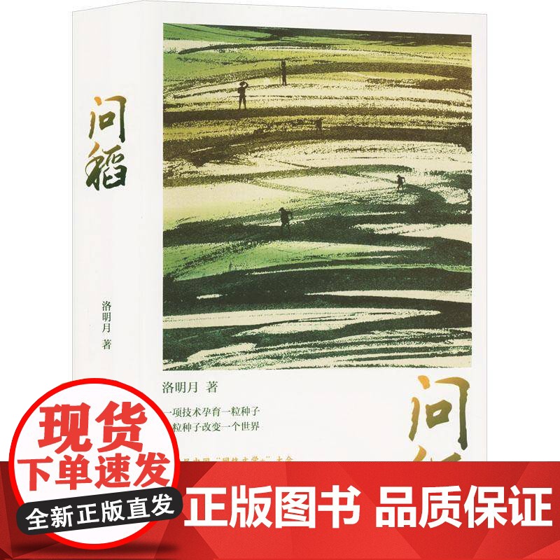 问稻洛明月小说书籍高清大图