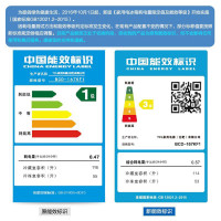 TCL BCD-167KF1 167升双门冰箱 德国工艺 一体成型防冷气流失 自动低温补偿 小冰箱节能省电 （闪白银）