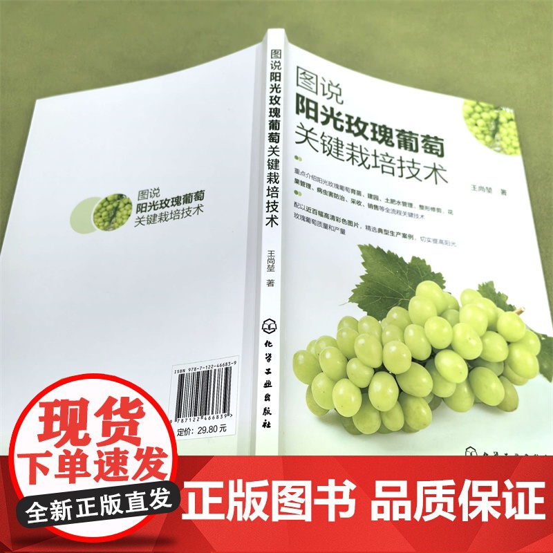 图说阳光玫瑰葡萄关键栽培技术高清大图