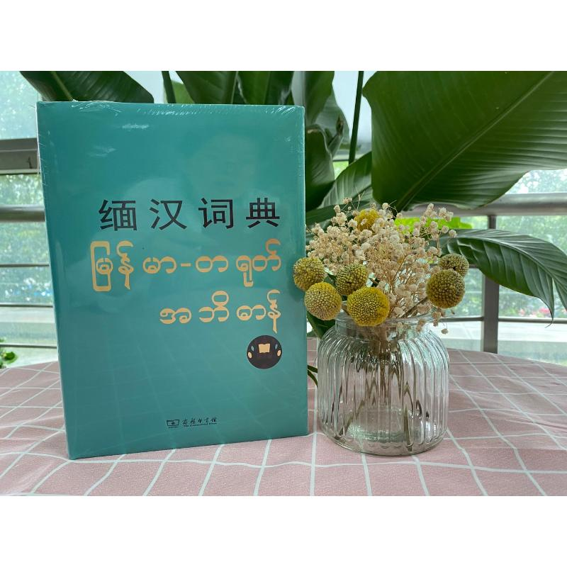 醉染图书缅汉词典9787100010382高清大图