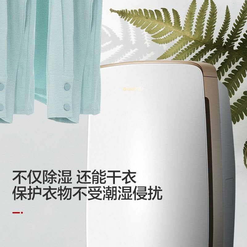 格力( GREE ) 除湿机 DH20EH/ 40EH急速除湿家用抽湿器除湿机31-40㎡微电脑式日除湿20/40升可选图片