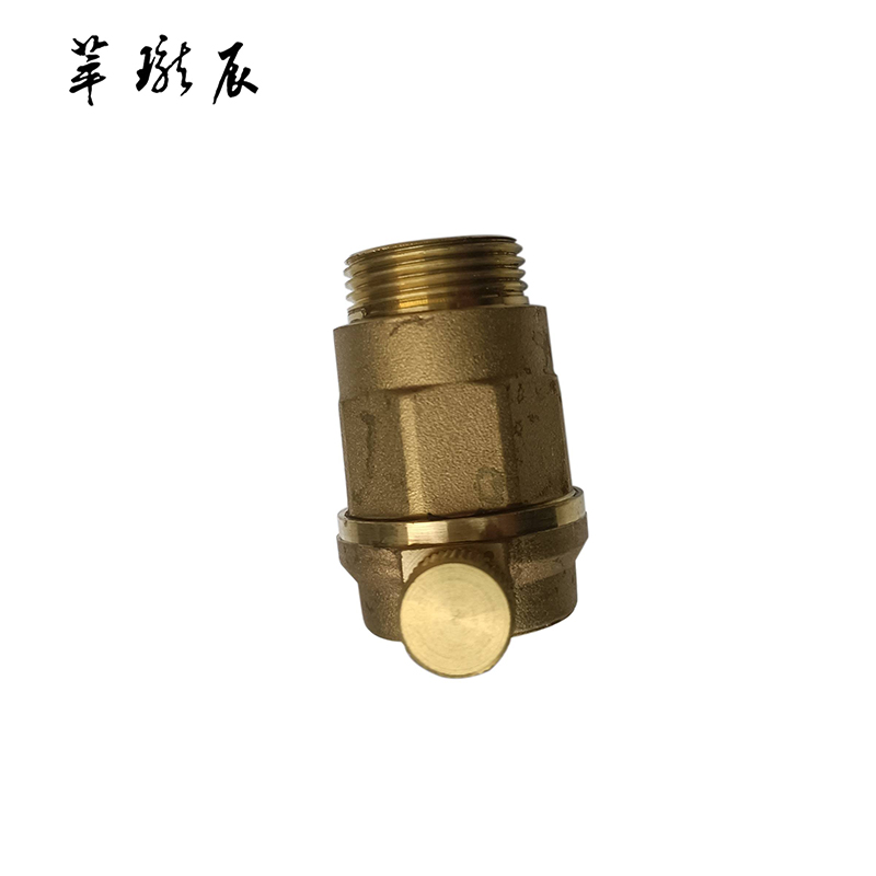 萃珑辰 自动排气阀 DN25 个高清大图
