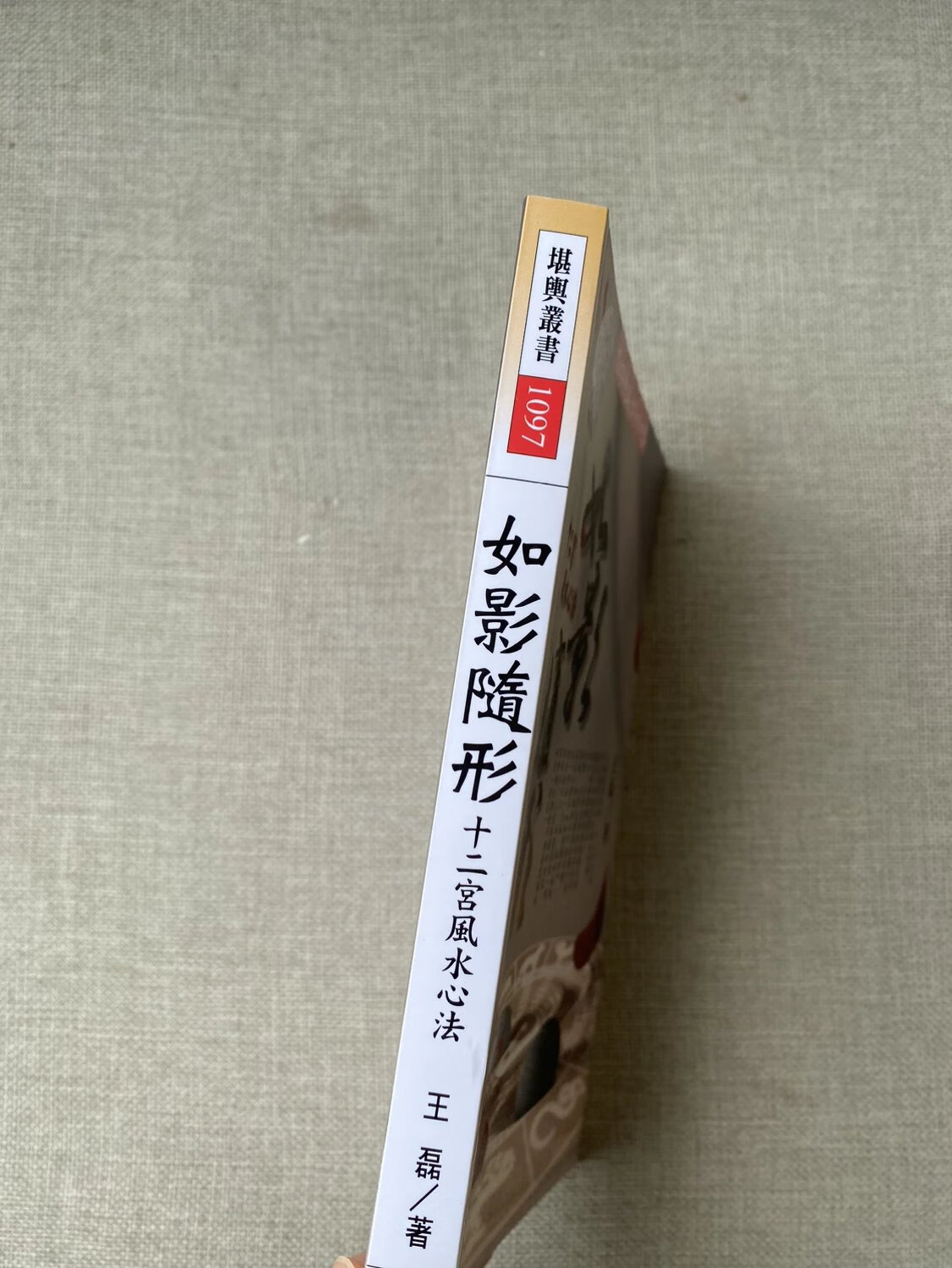 新书 正版 如影随形-十二宫心法 王磊 进源 王磊 进源高清大图