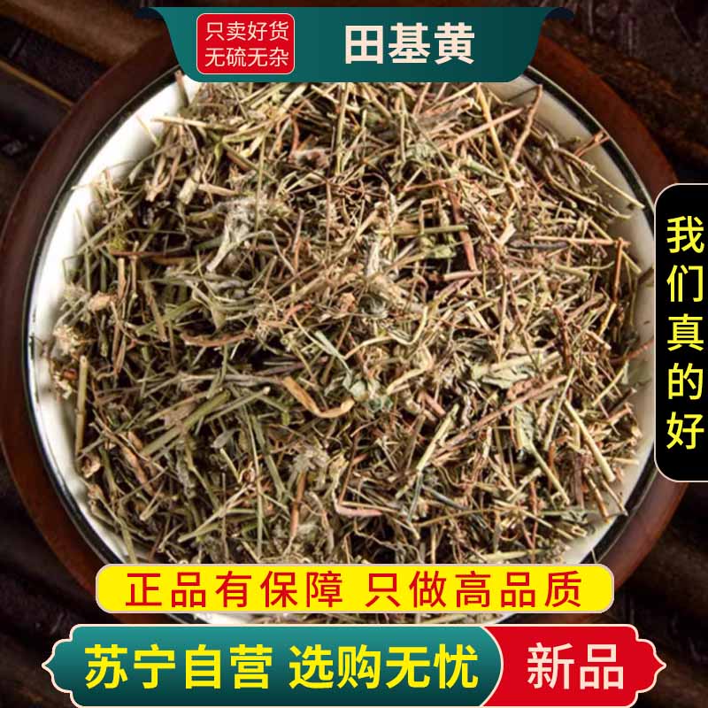 甄选田基黄100克干货正品新货干地耳草黄花草雀舌草正品整株田基王干品高清大图