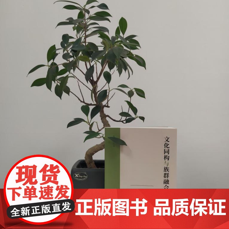 文化同构与族群融合:多元一体格局下中华民族共同体的历史演进 9787519913793 汇聚相关领域专家学者 历史学民高清大图