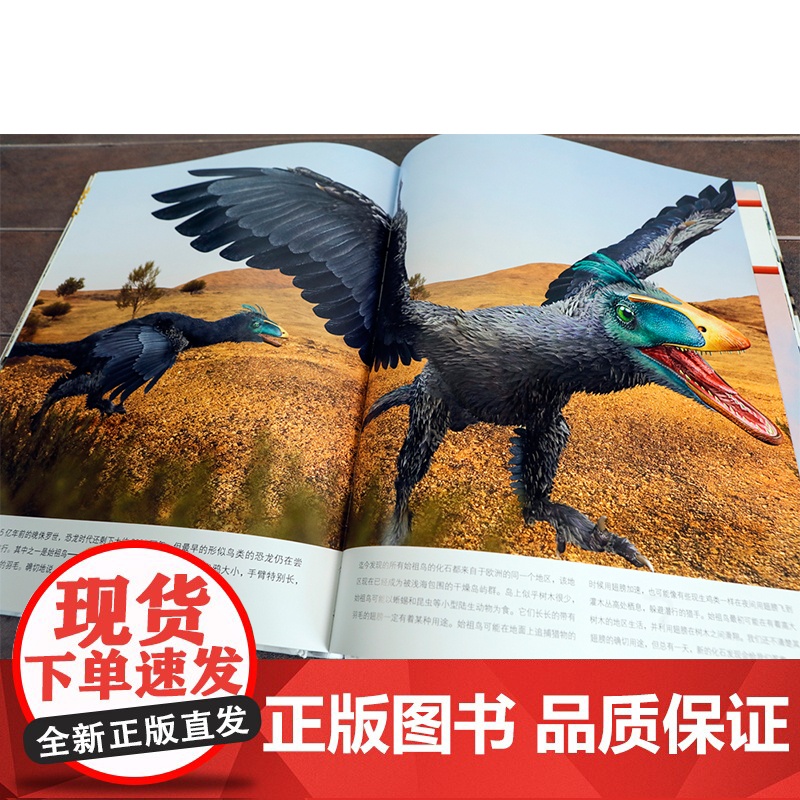 恐龙时代DK儿童图解恐龙百科dk儿童百科全书小学生全套彩图植物界动物界科普恐龙图解DK恐龙大百科少儿科学课外书揭秘恐龙书高清大图