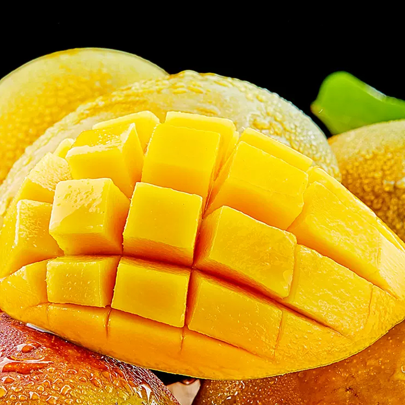 [西沛生鲜]云南新鲜苹果芒 净重2.8-3.