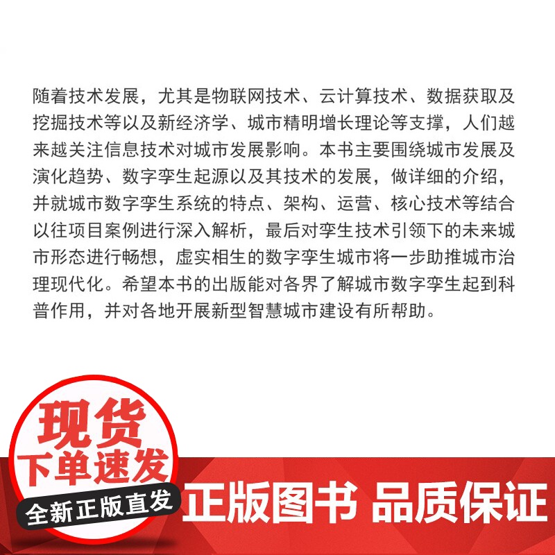 城市数字孪生导论 作者:中国(上海)数字城市研究院 数学研究新型智慧城市 同济大学出版社高清大图
