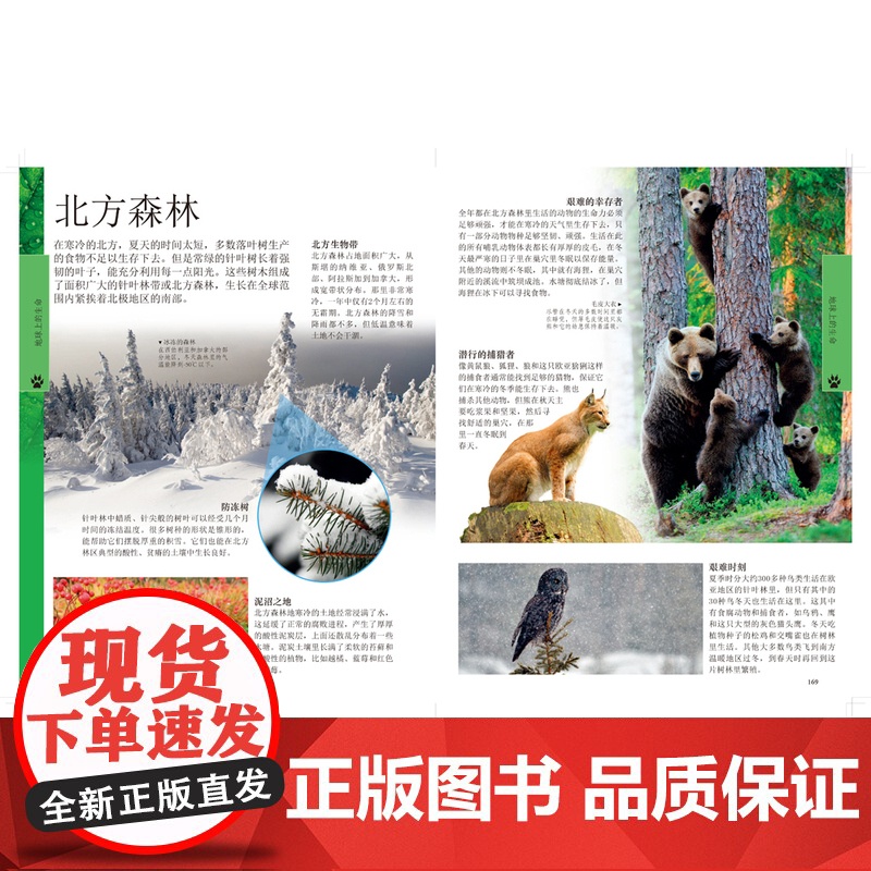 [新书] DK儿童地理百科全书 英国DK公司 9787500094449 中国大百科全书出版社 正版书籍高清大图