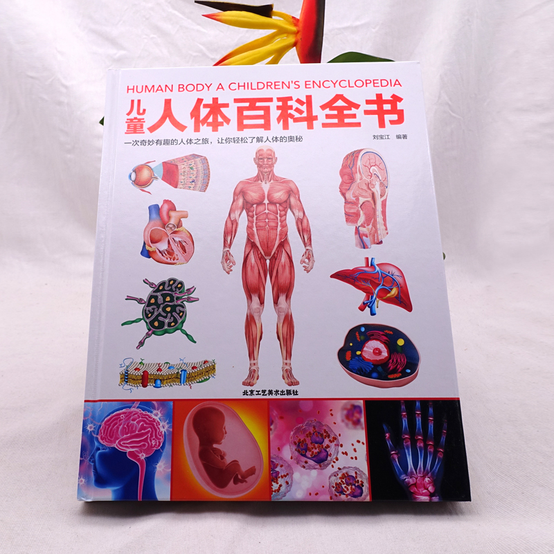 儿童人体百科全书 [正版] 儿童人体百科全书科普读物 儿童少儿百科全书幼儿读物科学绘本故事6-10岁科普大百科书籍人体结