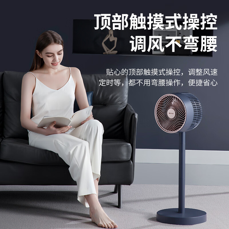 先锋直流空气循环扇 DXH-S16R(黑色)高清大图