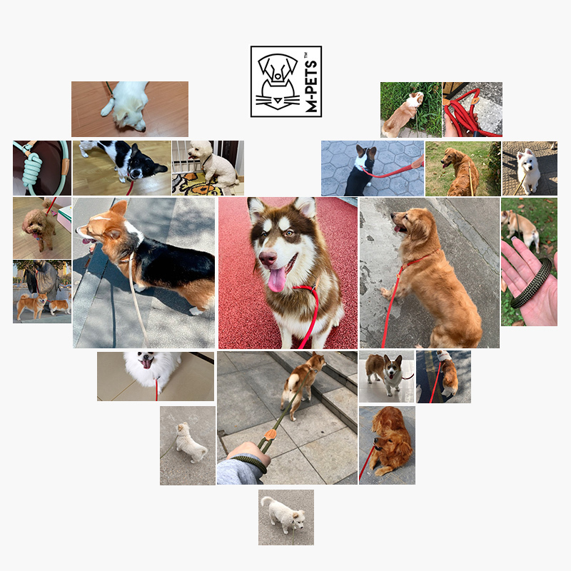 MPETS狗狗牵引绳p绳p链狗绳子大中小型犬柯基网红防爆冲遛狗链子-20~150斤内适用蓝绿-B夜间反光款