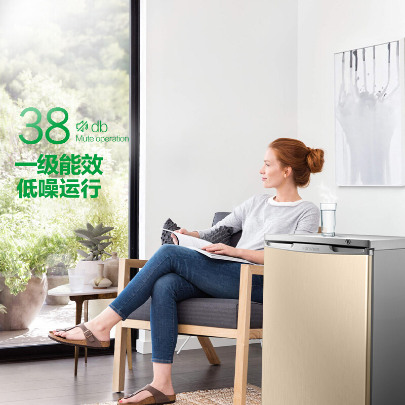 容声(Ronshen)86升冰柜冷柜 家用客厅小型迷你立式冷冻柜 母乳存储 分层抽屉 一级能效节能BD-86KTE