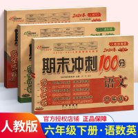 2020春 期末冲刺100分 六年级 下册 语文数学英语3本套装 人教版全新版 小学6年级下册总复习测试卷 期末综合