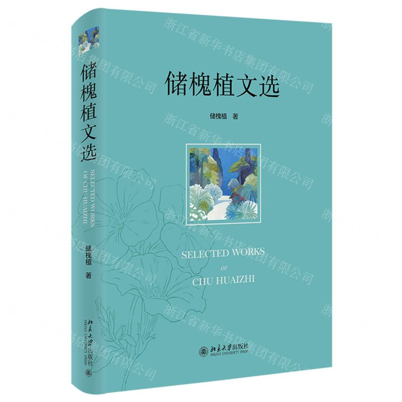 【N】储槐植文选(精)-9787301335512