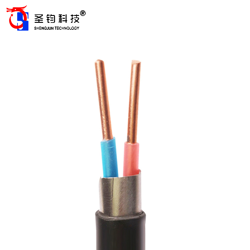 圣钧科技 SHENGJUN TECHNOLOGY 电线电缆 ZR-YJV22-2*2.5+米
