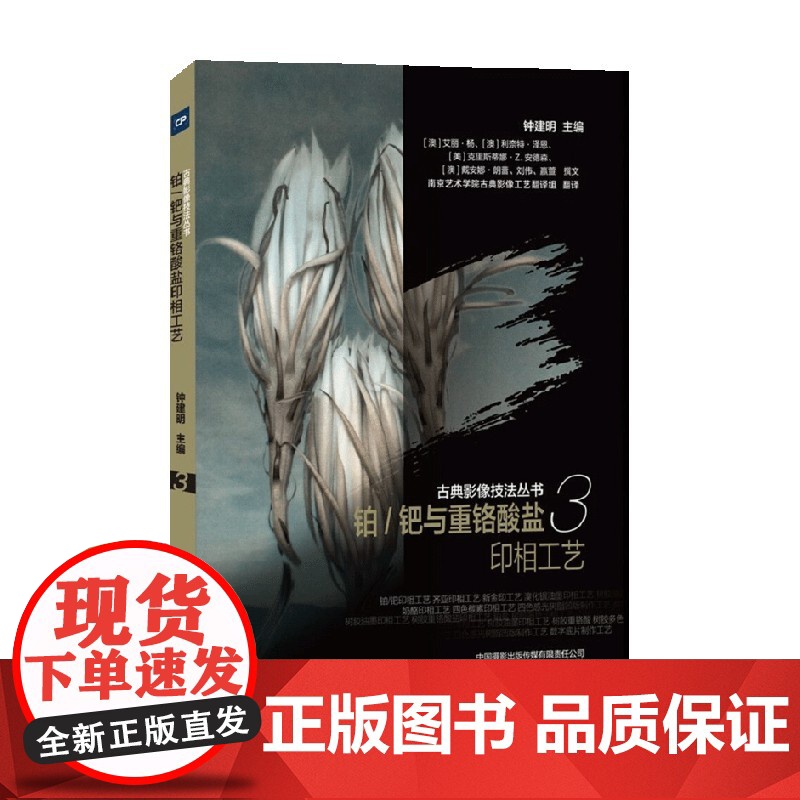 铂钯与重铬酸盐印相工艺 钟建明 著 摄影高清大图
