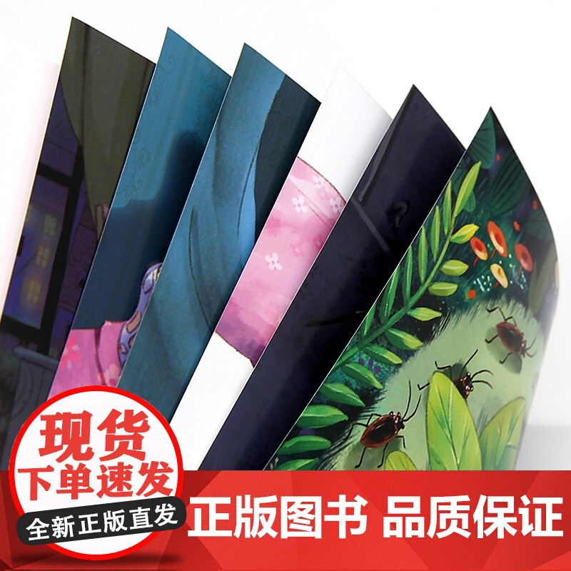 中国名家获奖绘本全套8册 儿童绘本阅读幼儿园2-3一6岁小班老师 宝宝读书0-1-3-4-5岁中班幼儿故事书系列 太阳爸高清大图