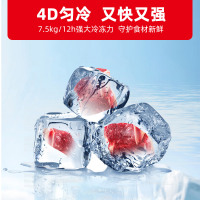 星星(XINGX) BCD-230HE 230升 卧式冷柜 冰柜 家商两用 蝴蝶门 内置玻璃门板保温双温双箱大容积