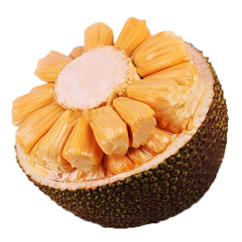 红肉菠萝蜜干热带新鲜水果一整个红心波罗蜜