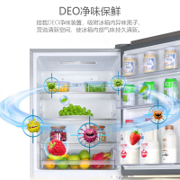 海尔(Haier) BCD-216WMPT 216升 冰箱 三门冰箱 风冷无霜 中门软冷冻 电冰箱家用三开门净味省电静音