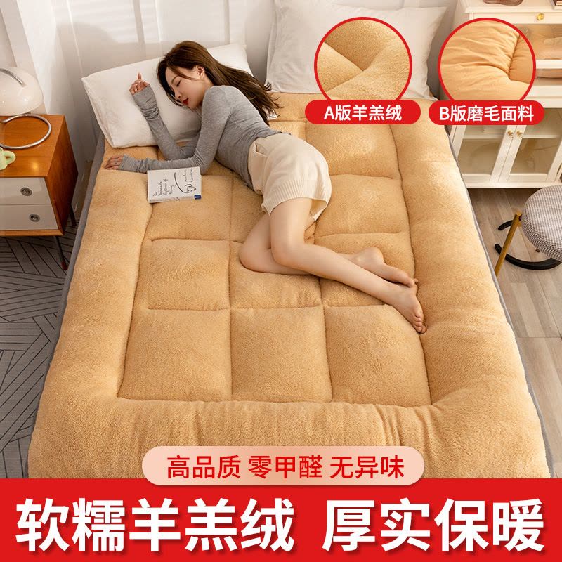 加厚床垫家用软垫榻榻米垫子单人垫褥租房垫被冬季图片