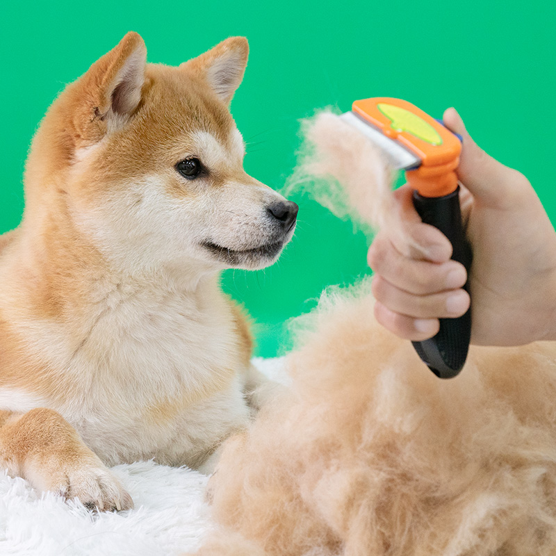 宠物狗狗梳子梳毛猫咪刷子柴犬柯基中小型犬去浮毛刷狗毛用品高清大图
