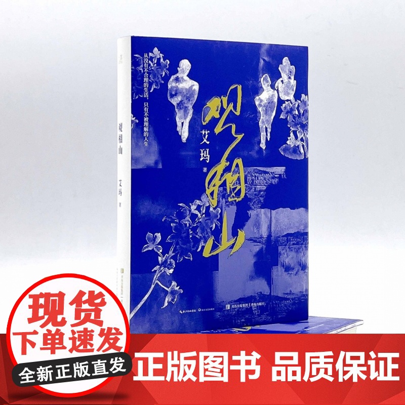 观相山 艾玛全新长篇小说 林白、张炜、李洱赞赏 从没有不合理的生活 只有不被理解的人生 中国当代小说 长江文艺出版社高清大图