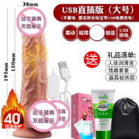 成入性用品器具夫妻自用w快乐器 成年女性玩具自安慰器高潮棒女用 摇摆加温款【大号】有线遥控【USB直插供电】+礼包