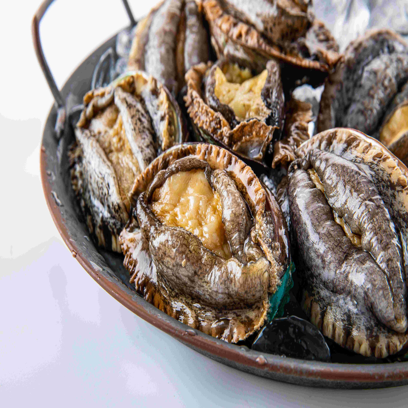 明盛恒海 甄选活鲍8头鲍/3斤