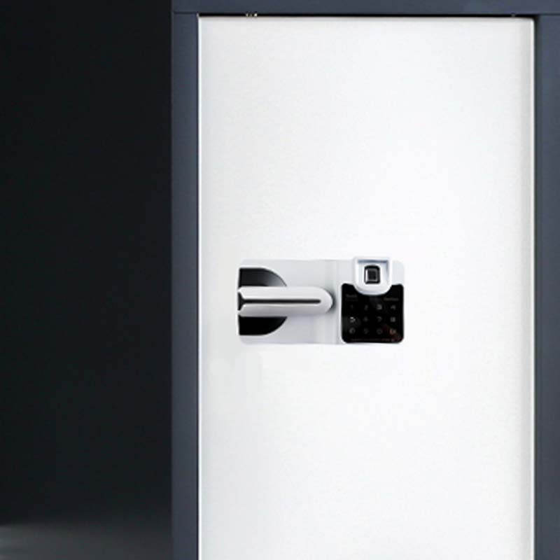 阿拉贡保密柜财务档案柜文件柜办公室资料储物柜保险柜 单门灰+白-国保指纹锁高清大图